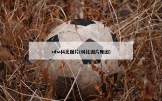 nba科比图片(科比图片原图)