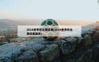 2014世界杯比赛结果(2014世界杯比赛结果图表)