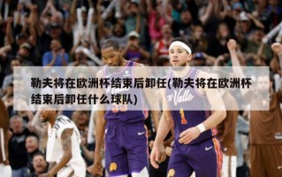 勒夫将在欧洲杯结束后卸任(勒夫将在欧洲杯结束后卸任什么球队)