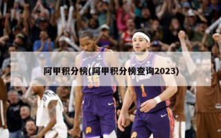 阿甲积分榜(阿甲积分榜查询2023)